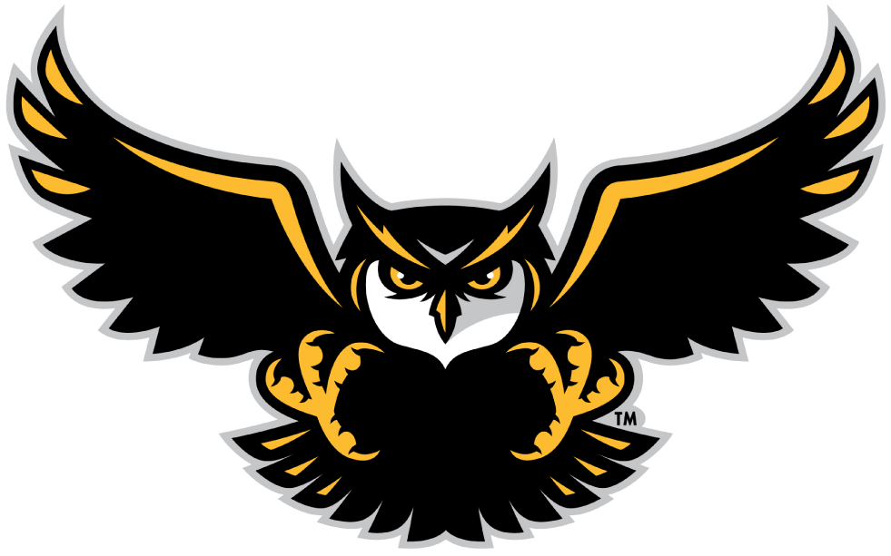 Kennesaw State Owls 2012-Pres Alternate Logo v4 diy DTF decal sticker